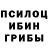 Псилоцибиновые грибы мухоморы Armandik tawer
