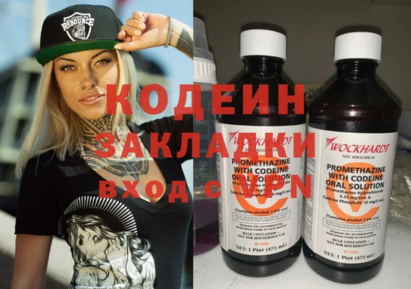 шишки Богородицк