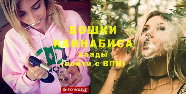 шишки Богородицк