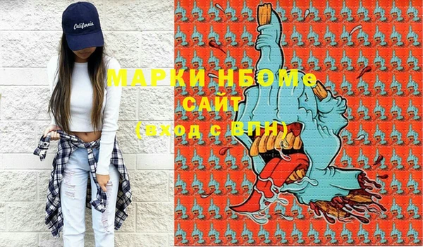 шишки Богородицк