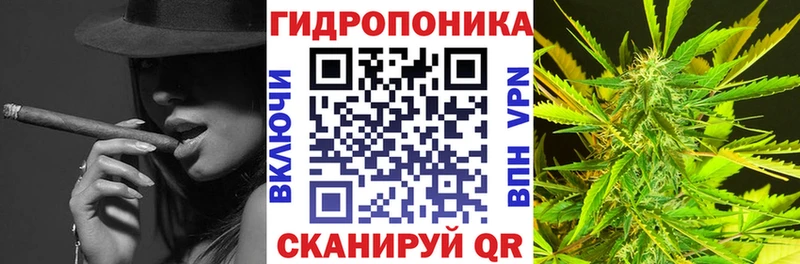 Каннабис планчик Вяземский